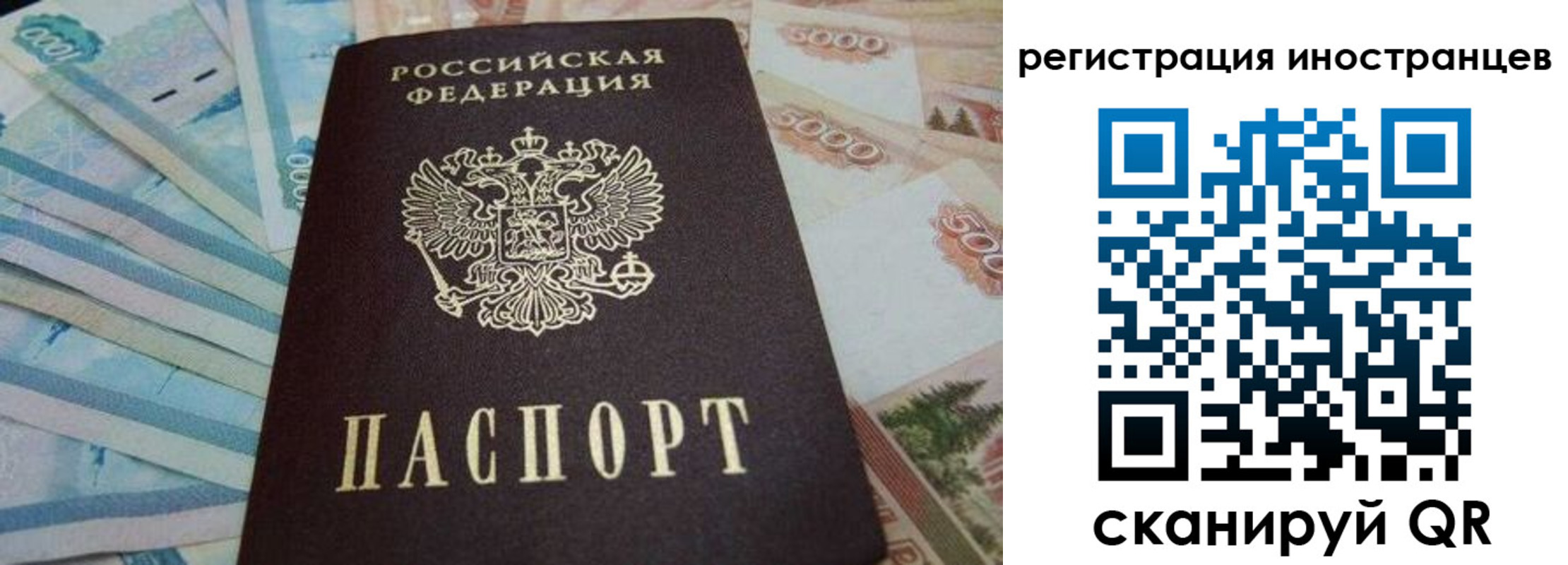 прописка гарантия в Севастополе